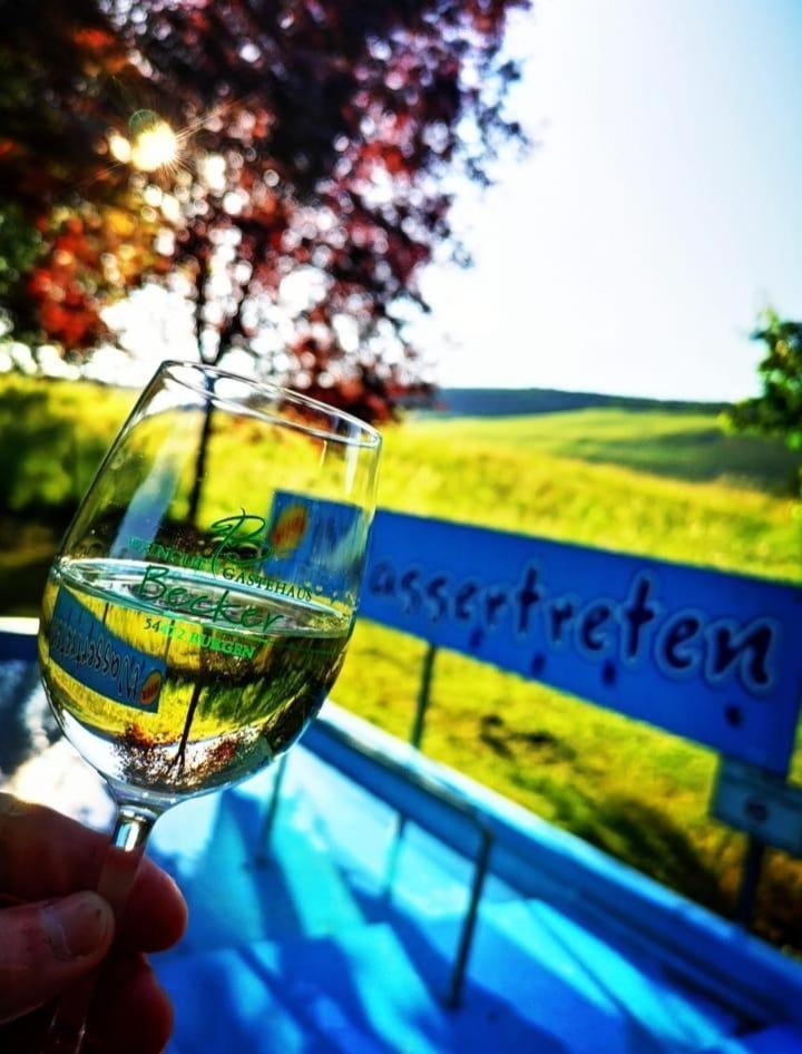 Ferienweingut & Gutsrestaurant Becker Daire Burgen  Dış mekan fotoğraf