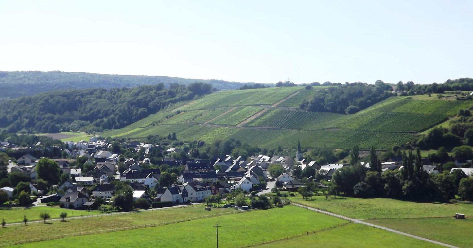 Ferienweingut & Gutsrestaurant Becker Daire Burgen  Dış mekan fotoğraf